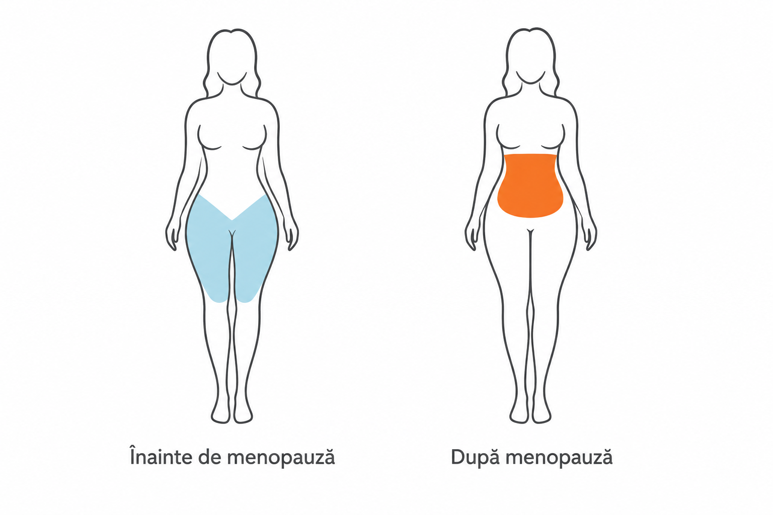 Grafic care arată cum se mută grăsimea spre abdomen după menopauză 